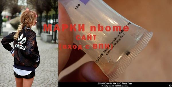 сатива Аркадак