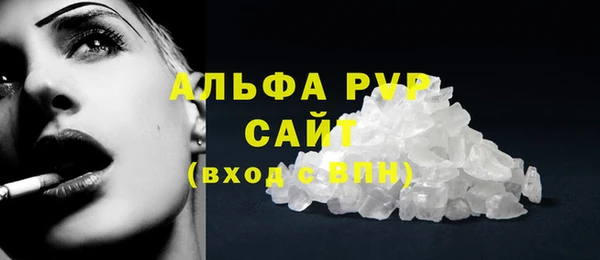 сатива Аркадак