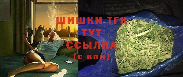 сатива Аркадак