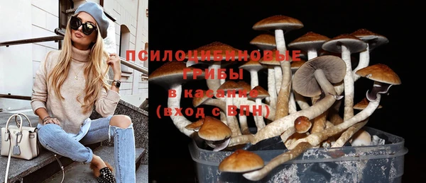 ALPHA PVP Арсеньев