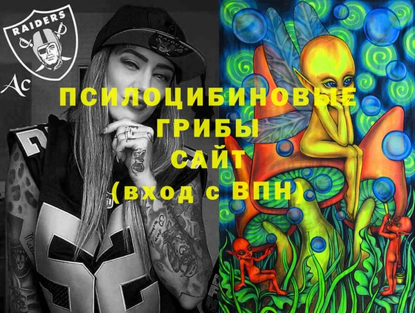 сатива Аркадак