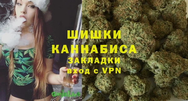 сатива Аркадак
