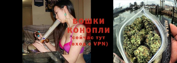 сатива Аркадак