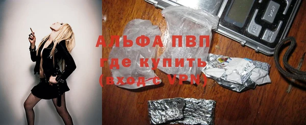 сатива Аркадак