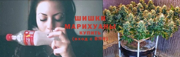 сатива Аркадак